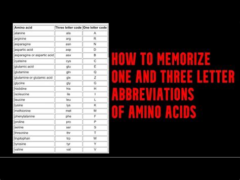 20 Amino Acids Abbreviations