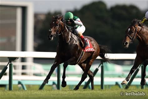 産経賞オールカマー【2018年9月23日中山11r】 競馬ラボ