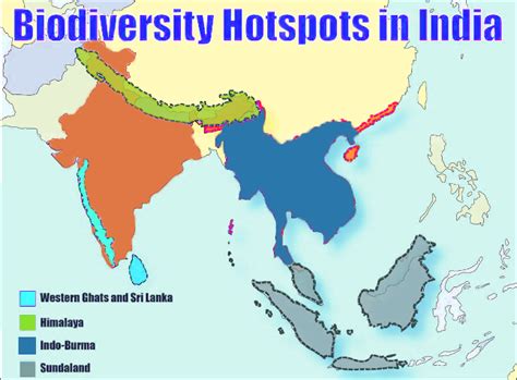 Biodiversity Hotspots Definition Criteria And Hotspots