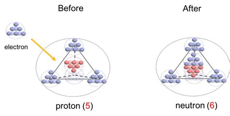 11 -The electron capture process where a proton becomes a neutron ...