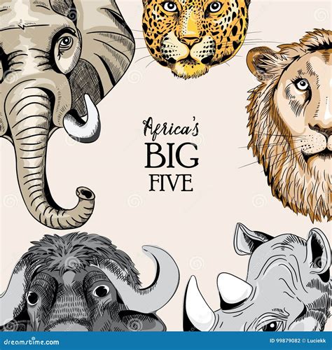 Collection Of Animals From Africa`s Big Five Vector Illustration On