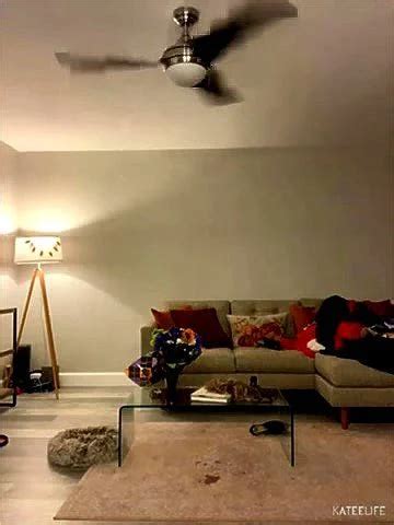 Watch Katee Katee Big Tits Nice Ass Porn SpankBang