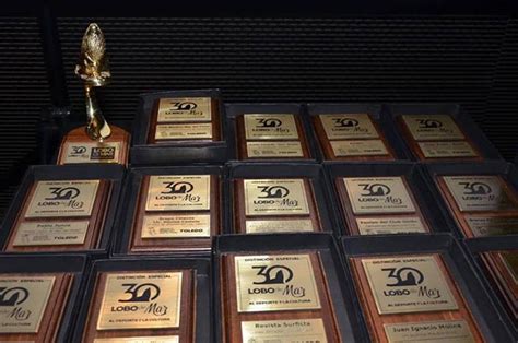 Presentaron Las Ternas Para Los 30 Premios Lobo De Mar Noticias De