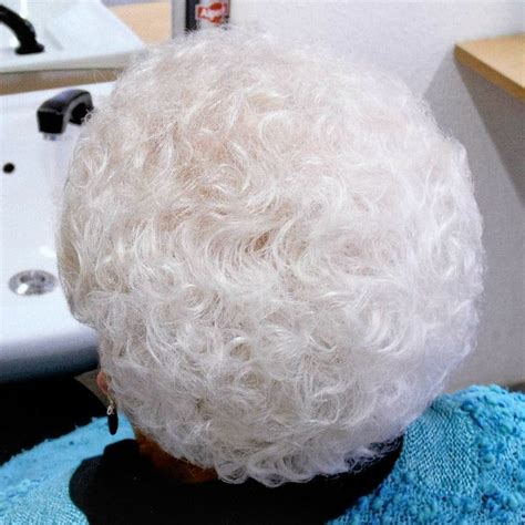 Pin By John Mckenna On Poodle Perm In 2023 Bouffant Hair Up Hairstyles White Hair