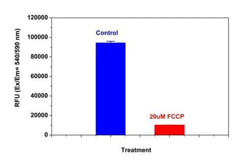 Orange Mitochondrial Membrane Potential Assay Kit (Microplate) (ab138899)