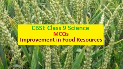 Cbse Mcq Questions Of Chapter Improvement In Food Resources Class