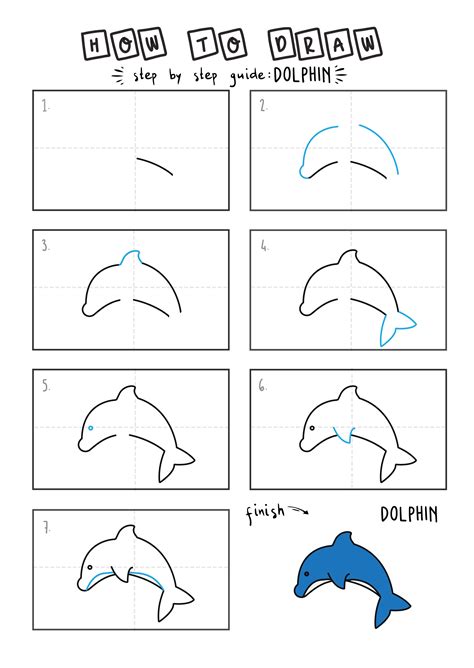 How To Draw A Cartoon Dolphin Step By Step For Young Children Rainbow