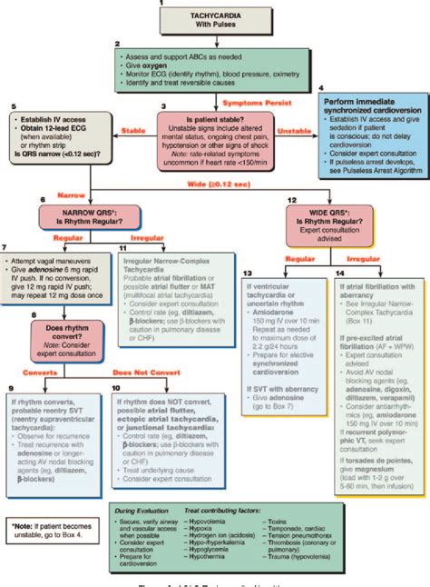 Figure From Part Management Of Symptomatic Bradycardia And