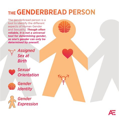 Bern The Mang Dalorian On Twitter Rt Assortedge The Genderbread