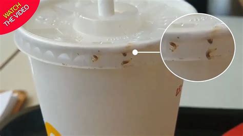 Mcdonald S Customer Horrified After Finding Maggots Crawling Around