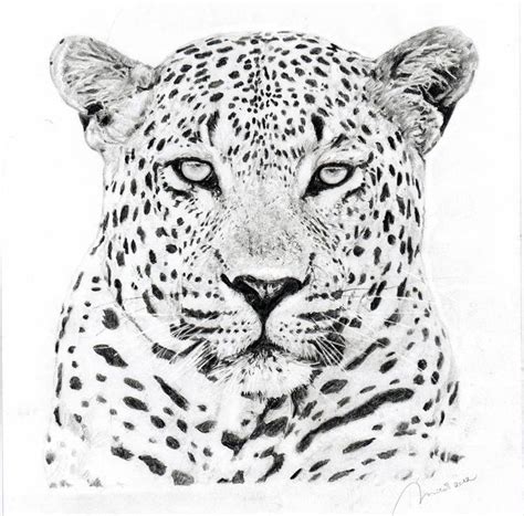 Leopard By Portretforyou On Deviantart Leopard Tattoos Leopard