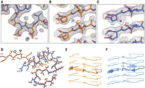 Cryo Em Structures Of Amyloid Filaments From Human Brains Science