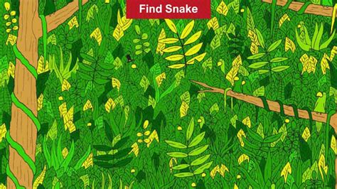 You Have Eagle Eyes If You Can Spot The Hidden Snake In The Tree In