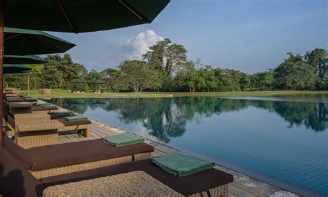 Water Garden Sigiriya Location – Hummingbird Travel