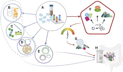 A Metagenomics Approach To Investigate Microbiome Sociobiology Pnas