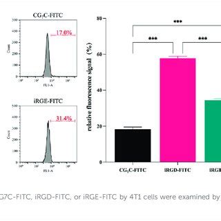 A SPECT Images Of 4T1 Tumor Bearing Nude Mice At Different Time