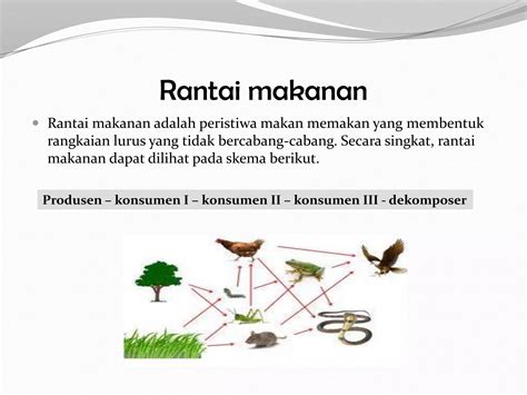 Ekosistem Ppt
