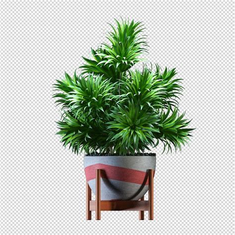 Planta em vaso em renderização 3d isolada PSD Premium