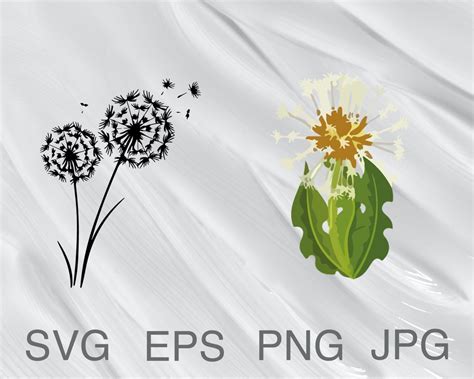 Pusteblume Svg Datei Pusteblume Svg Png Pusteblumen SVG Etsy