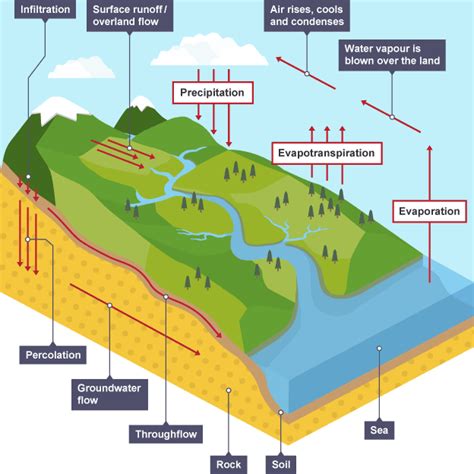 A Level Geography Topic 1A BK Water And Carbon Cycles Diagram