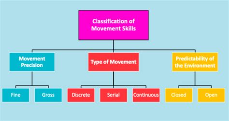 Motor Skills Fitts And Posner Phases Of Motor Learning Flashcards Quizlet