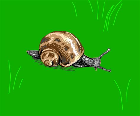 Snail Drawception