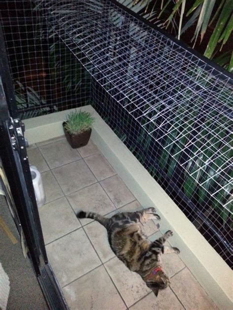 How One Redditor Solved His Cat And Balcony Problem Catster Cat