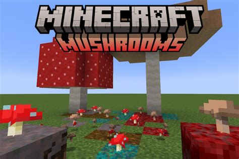 How To Grow Mushrooms In Minecraft Beebom