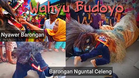 Barongan Kendal Singo Barong Wahyu Budoyo Live Maron Ringinarum