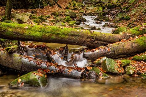 Mountain Stream with Waterfalls Stock Image - Image of park, waterfall ...