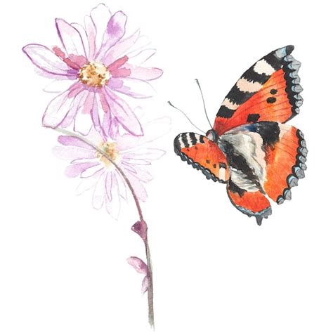 Papillon Peint L Aquarelle L Ments De Conception Dessin S La Main