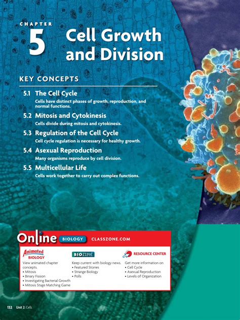 Pdf Chapter 5 Cell Growth And Division · Pdf File · 2016 02