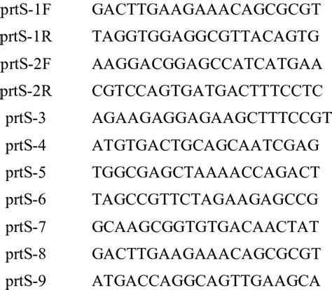 Oligonucleotide Primers Used In This Study Primer Name Sequene 5 3