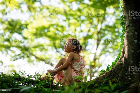 여자아이 게임하기 파크 아이에 대한 스톡 사진 및 기타 이미지 아이 어린 시절 자연 Istock