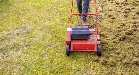 Power Rake Vs Dethatcher Complete Comparision Guide Lawncare