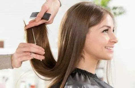 Hair Cutting at ₹ 300/person in Noida | ID: 17448597862