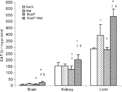 Activity Of Catalase Cat In Homogenates Of Brain Kidney And Liver N