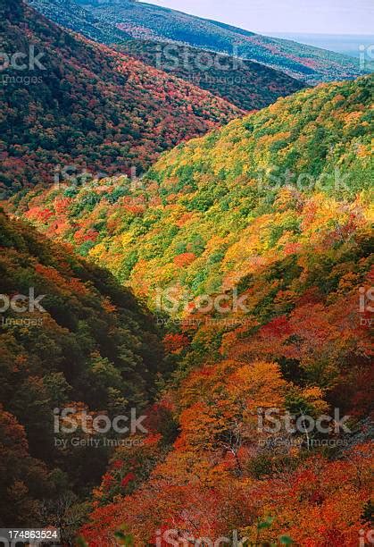 Fall Colors Cape Breton Island Nova Scotia Stock Photo - Download Image ...