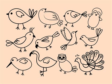 Birds SVG Clipart Outline Bird Png Clipart Birds Svg Bird - Etsy