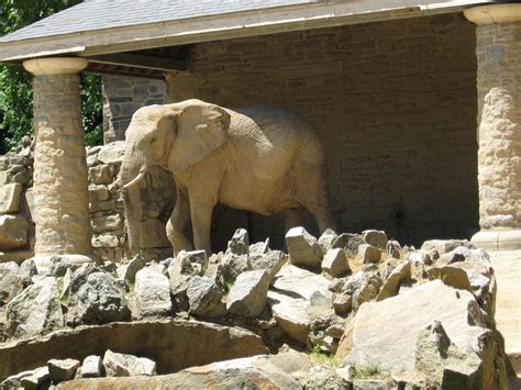 EYES OF STEVIE B: PHILADELPHIA ZOO