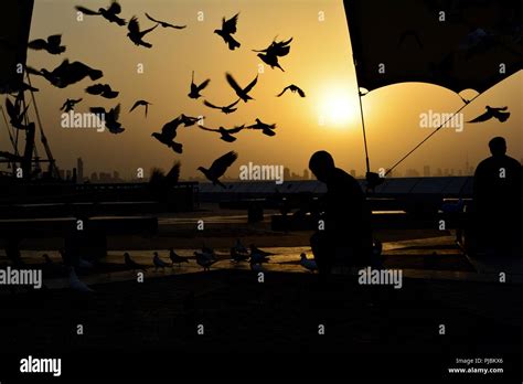 Joy Happiness And Freedom Stock Photo Alamy