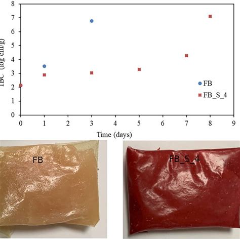 The Inhibition Zone Of Faba Bean Flour Sumac Films On S Aureus And E