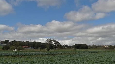 Dia do Agricultor mudanças climáticas impõem novos desafios para