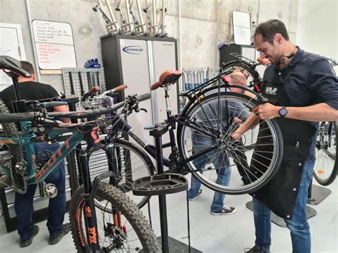 Titre Finalit Professionnelle Technicien Vendeur Cycles