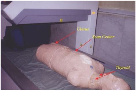 Anthropomorphic Phantom In Measurement Position Download Scientific Diagram