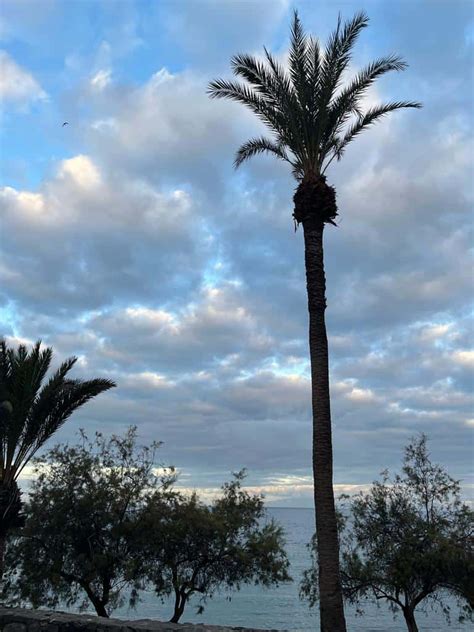 Cielos Nubosos Y Posibles Lluvias Este S Bado En Canarias Gomeranoticias