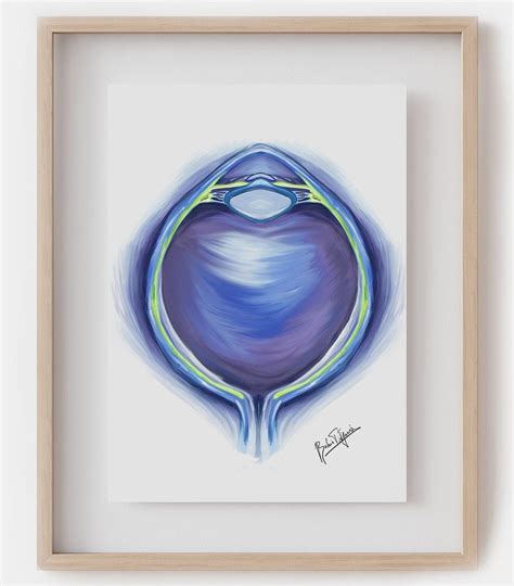 Eye Art Anatomy Print Eyeball Anatomy Wall Art Ophthalmologist