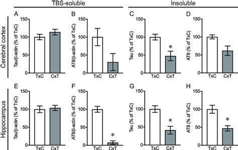 Soluble And Insoluble Tau Levels In Rtg Mice Txc And Rtg