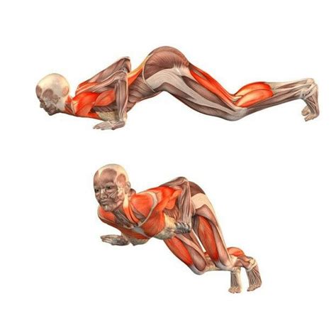 Eight Limbed Salutation The Caterpillar Or Knees Chest Chin