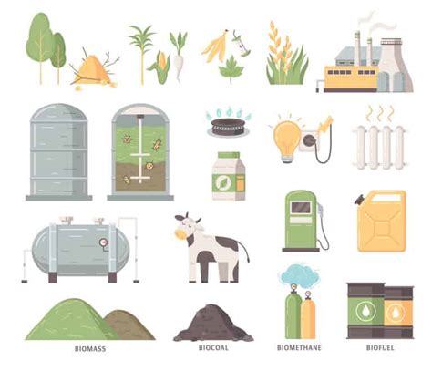 Types of Biomass Energy: An Overview of the Different Forms and Their ...